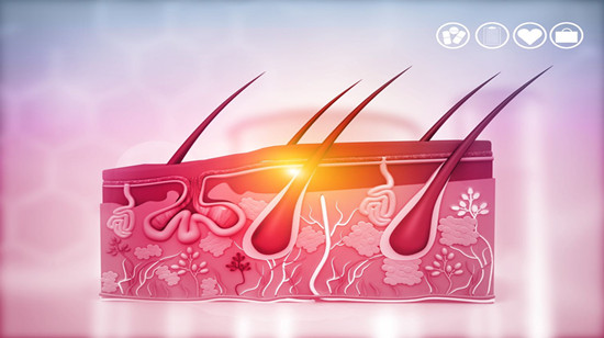 Anti-hair loss & hair regeneration
