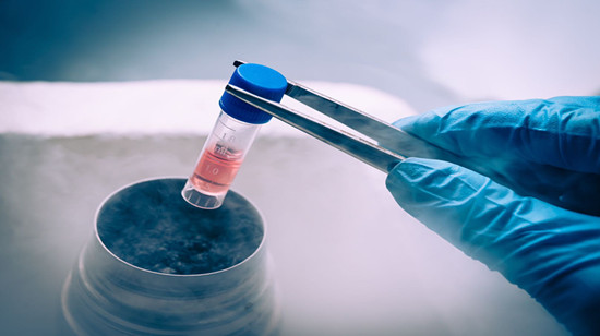 Ovarian repair and regeneration of autologous stem cells