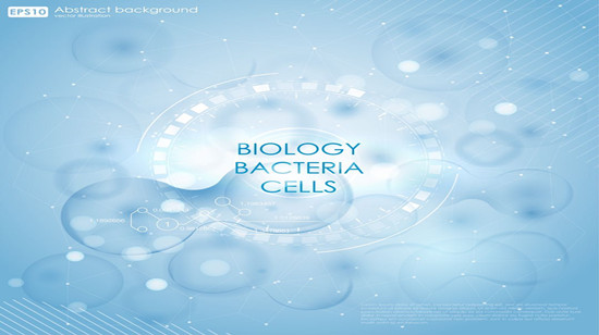 Autologous ADSCs for chronic kidney disease