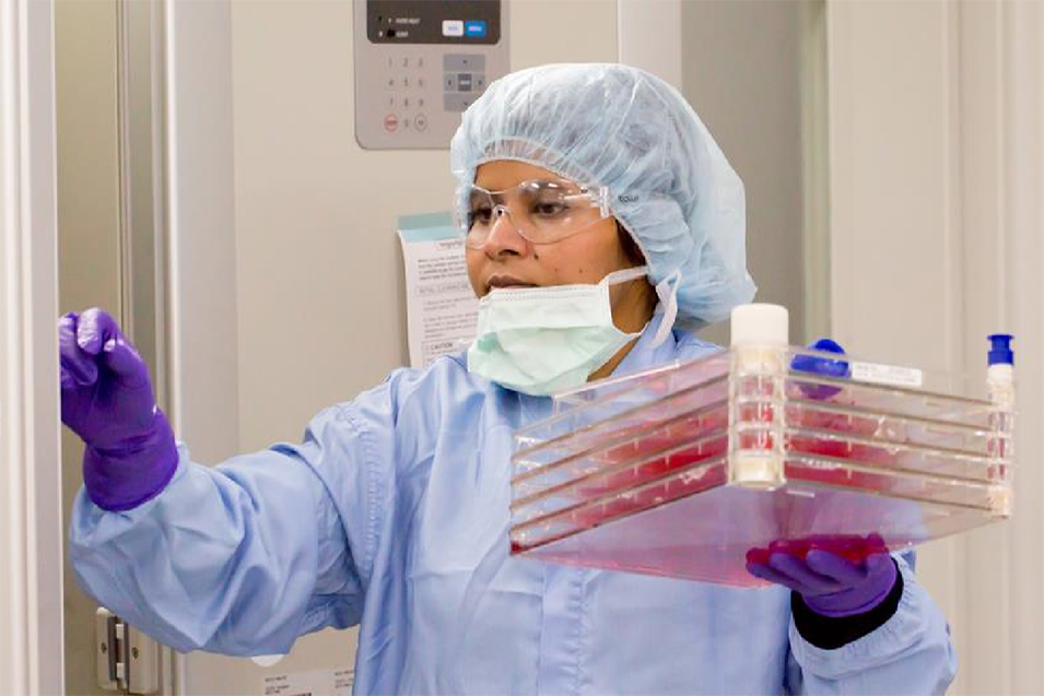 Magellan Stem Cells